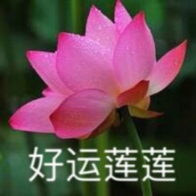 OB欧宝娱乐官方平台